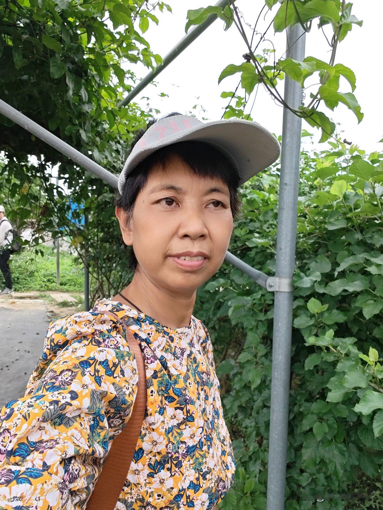 今天白累了，去摘桑葚，另外想着摘些桑葚叶回来，做点桑叶茶，结果桑葚已摘完了，一粒