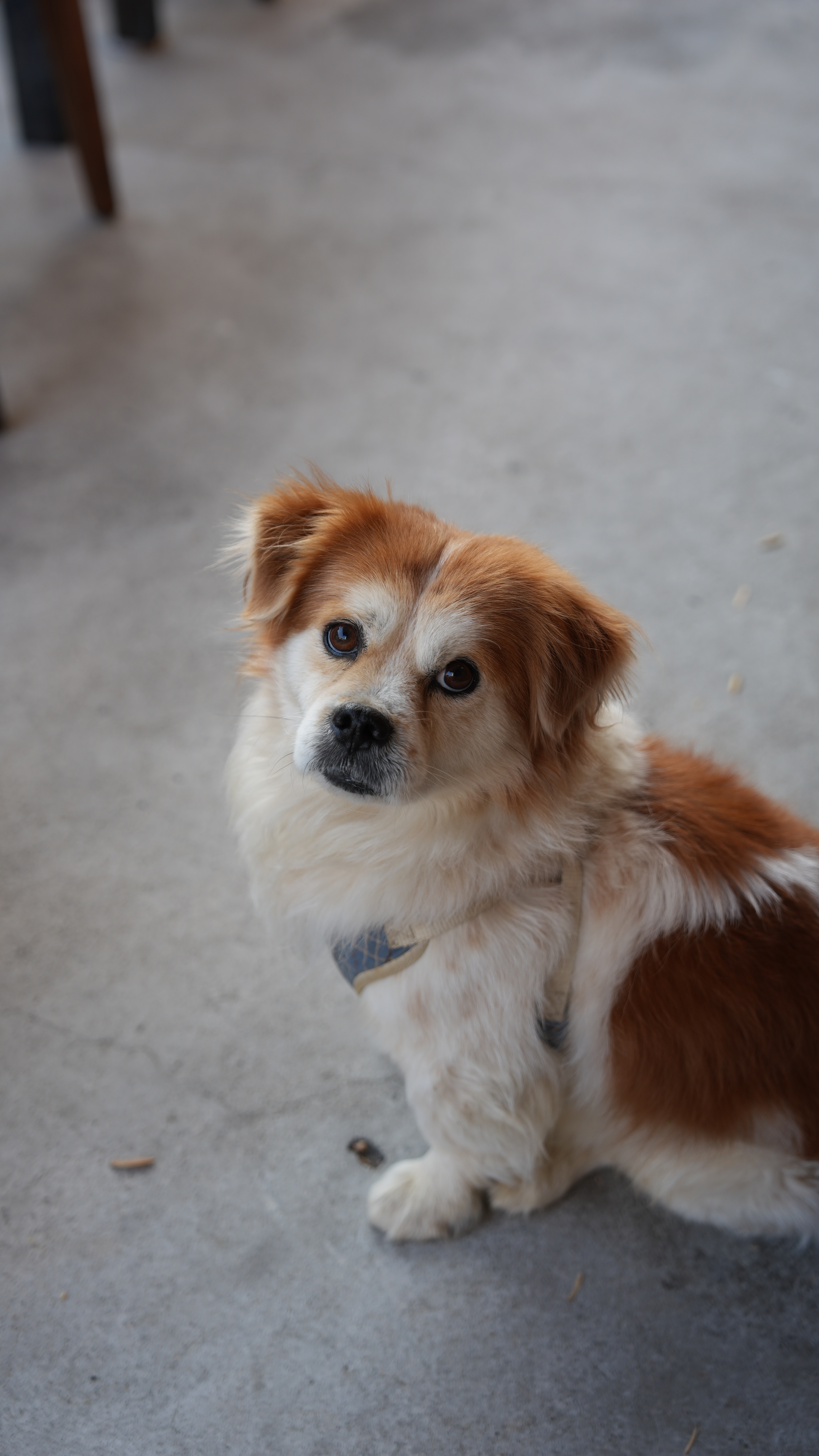 猜用什么机器拍的 深圳·UT coffee(深圳中交科技城店)