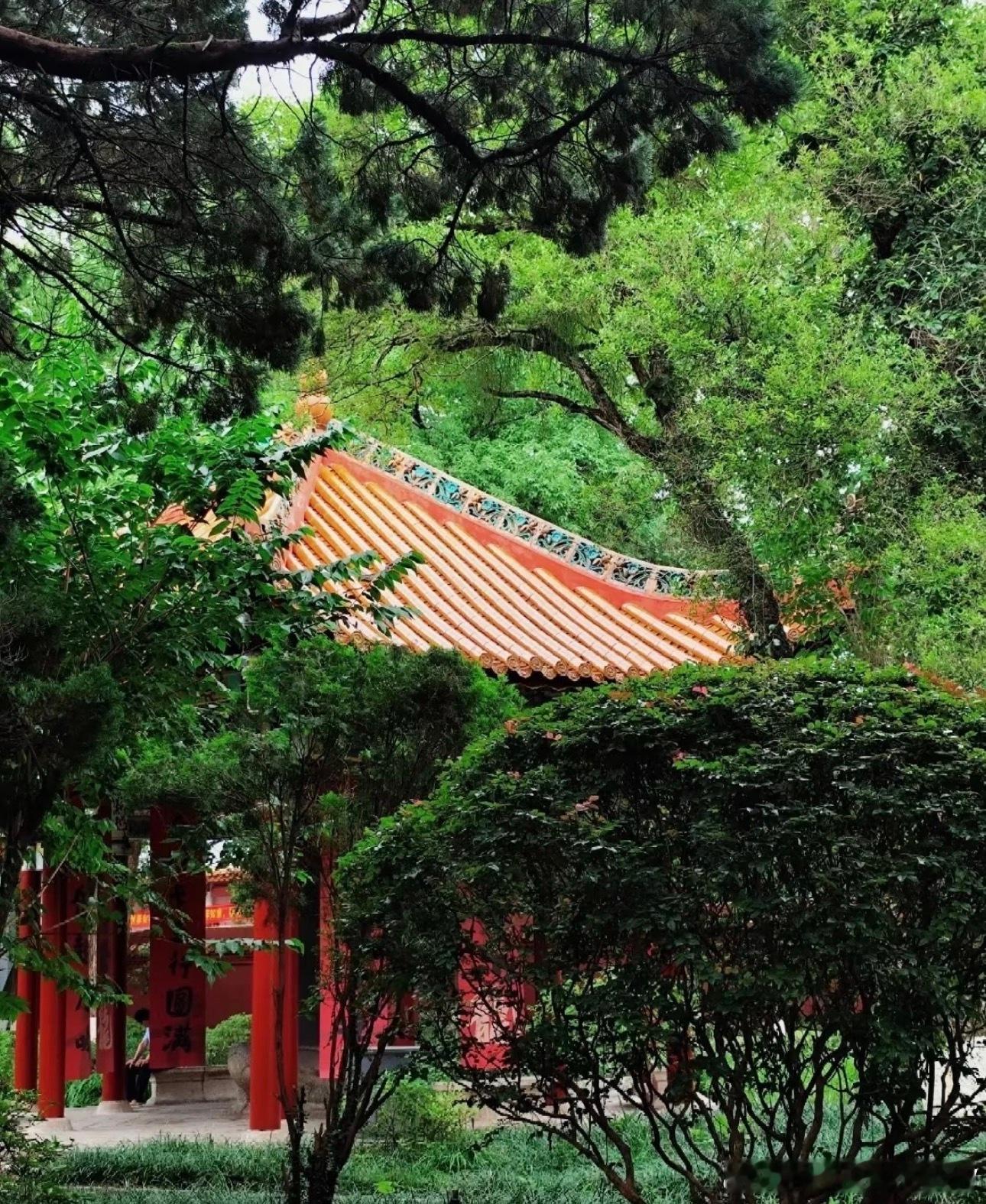 🌄好运气从每一个清晨开始，早安！ 