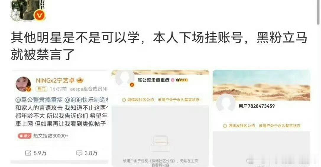 内娱可以学起来了