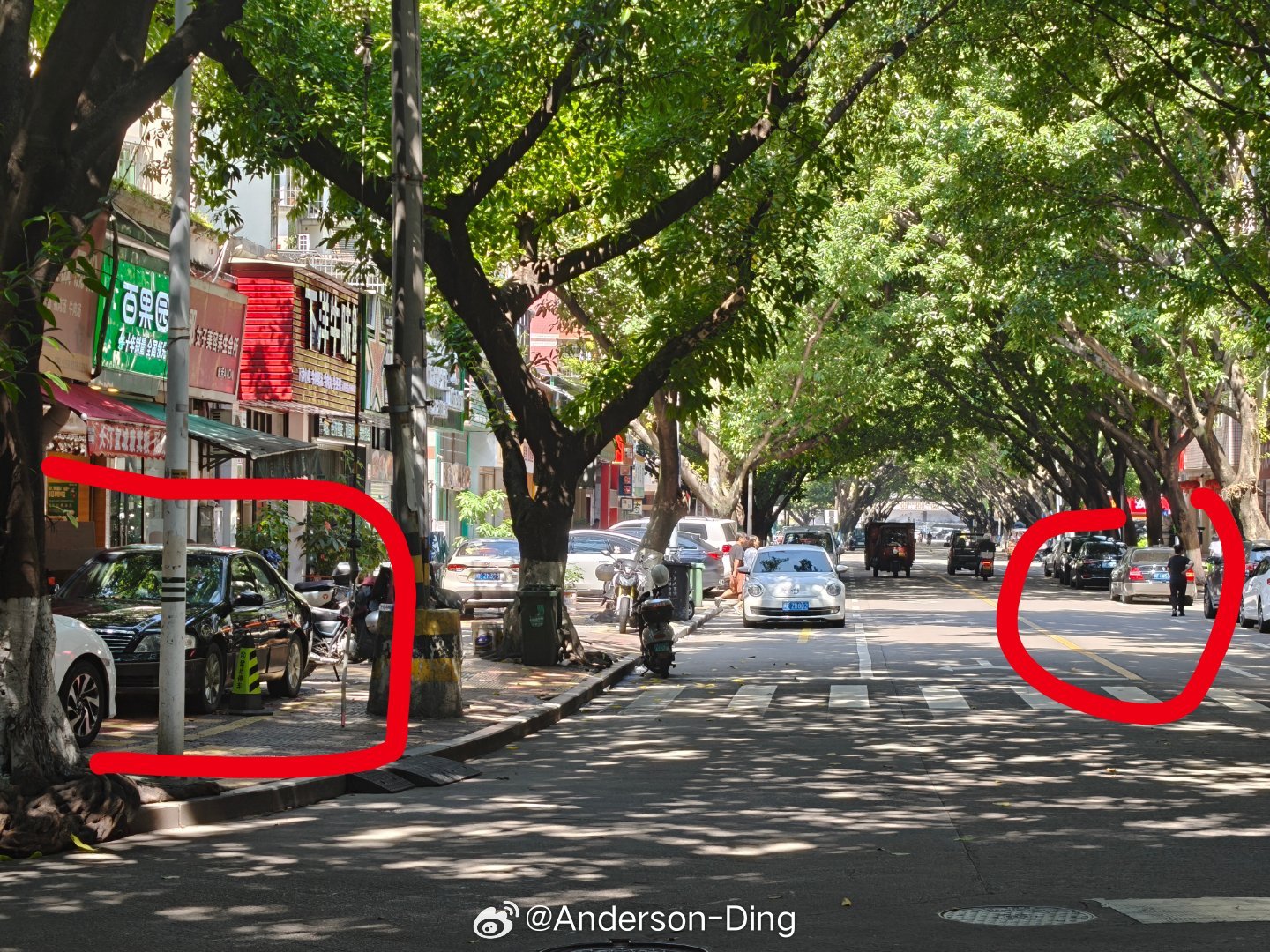龙岩汽车观察 同样是很久没有在这么近的距离内见到两部风神蓝鸟了 ​​​