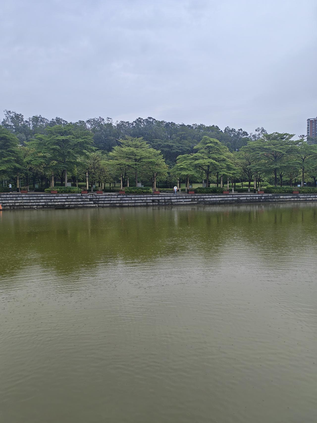 这个五一假期，深圳有两三天都是中雨到大雨的，这对于留在深圳的朋友来说，出门就有点