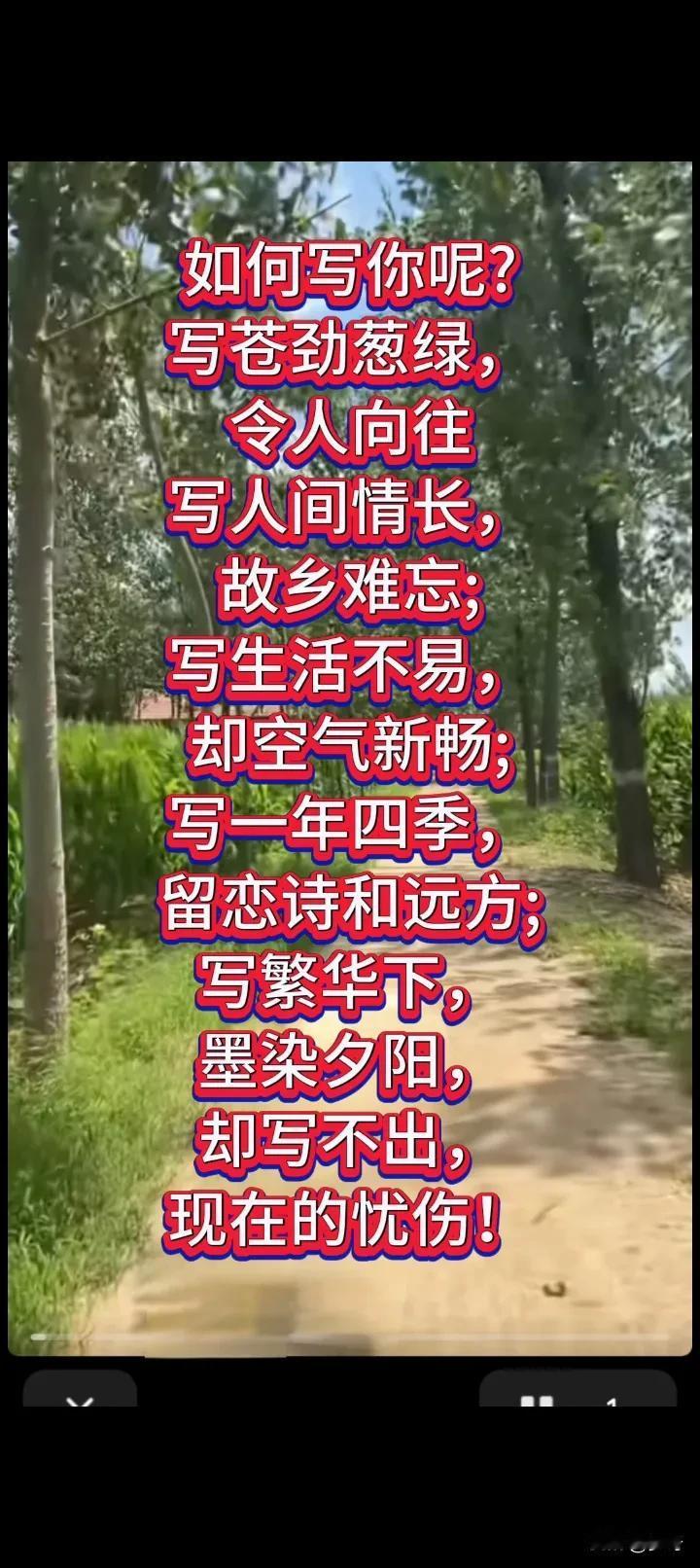 如何写你呢？
写苍劲葱绿
令人向往
写人间情长
故乡难忘;
写生活不易，
却空气