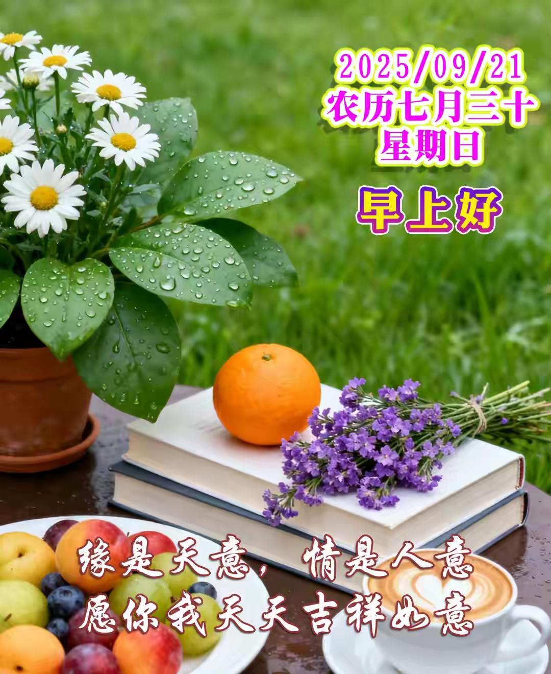 随着年龄不断增长，尤其到老年岁月。越来越感觉亲情友情的淡化和疏远。但是，几十年人