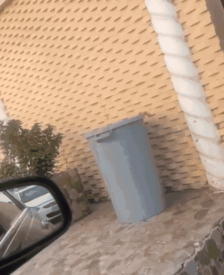 真的很好笑谁懂 ​​​