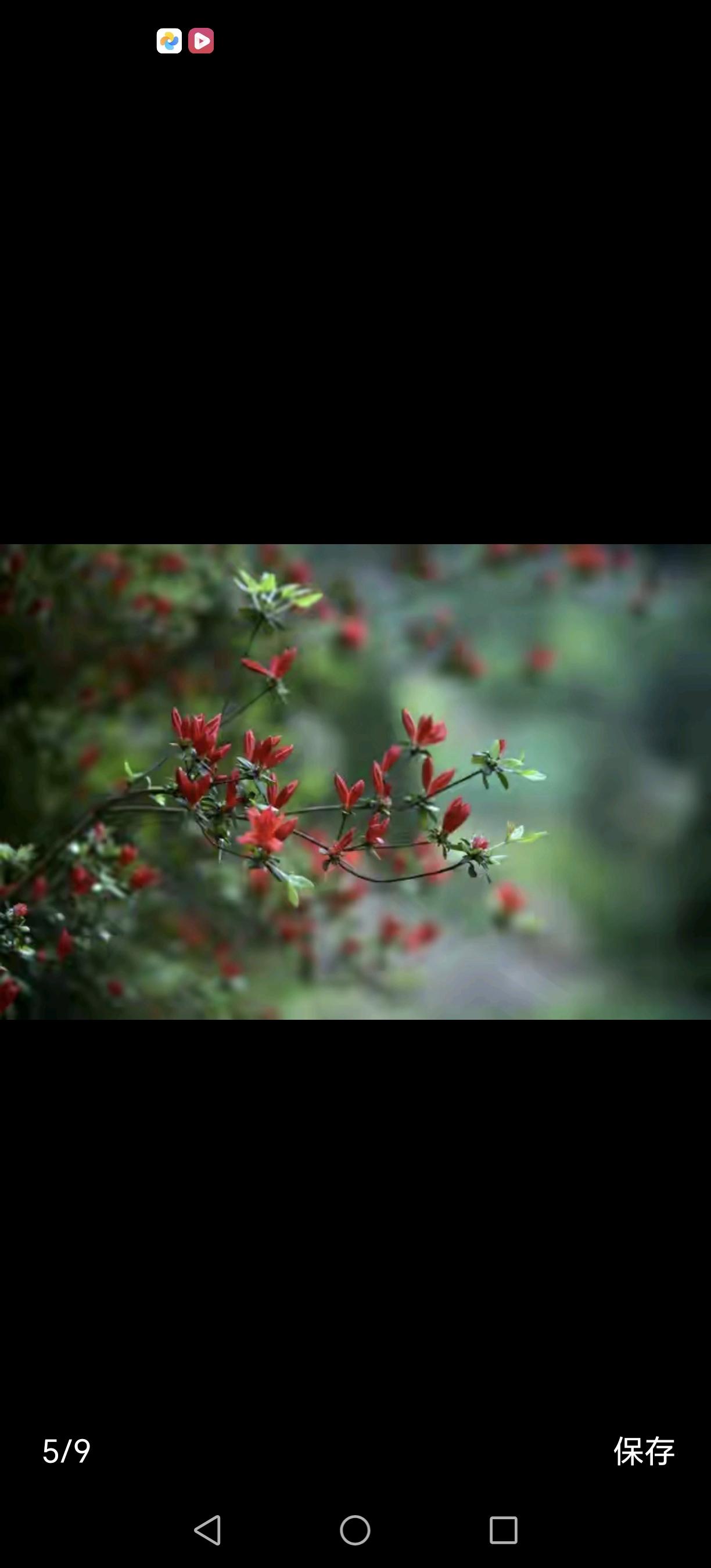 少年夫妻老来伴，是岁月无声谱就的温柔歌谣

执子之手，与子偕老。”路途虽远，仍盼