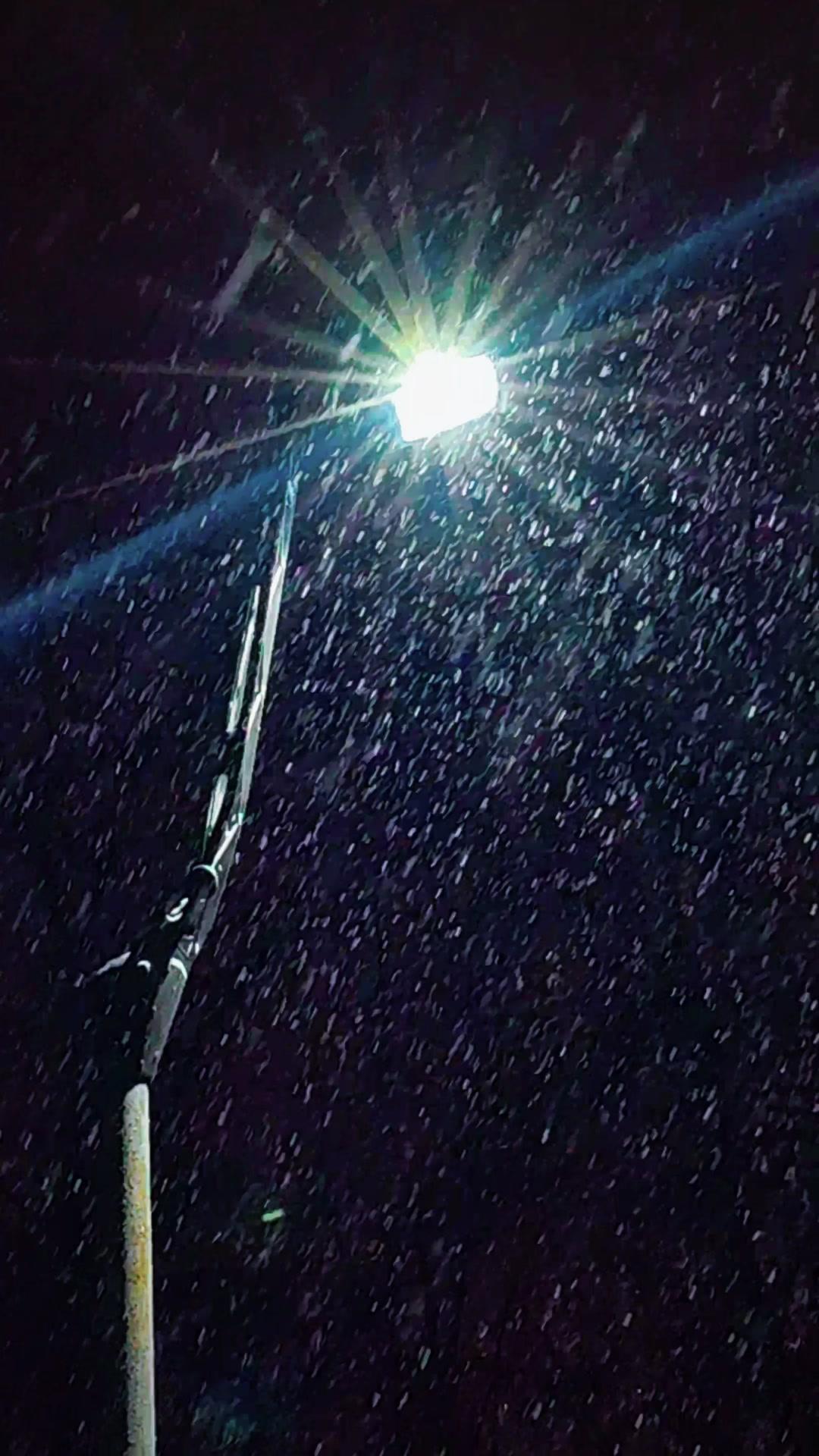 北京的春天，竟然飘起了大雪！推开窗的瞬间，天地都白了，树枝被雪压得弯下腰，像极了