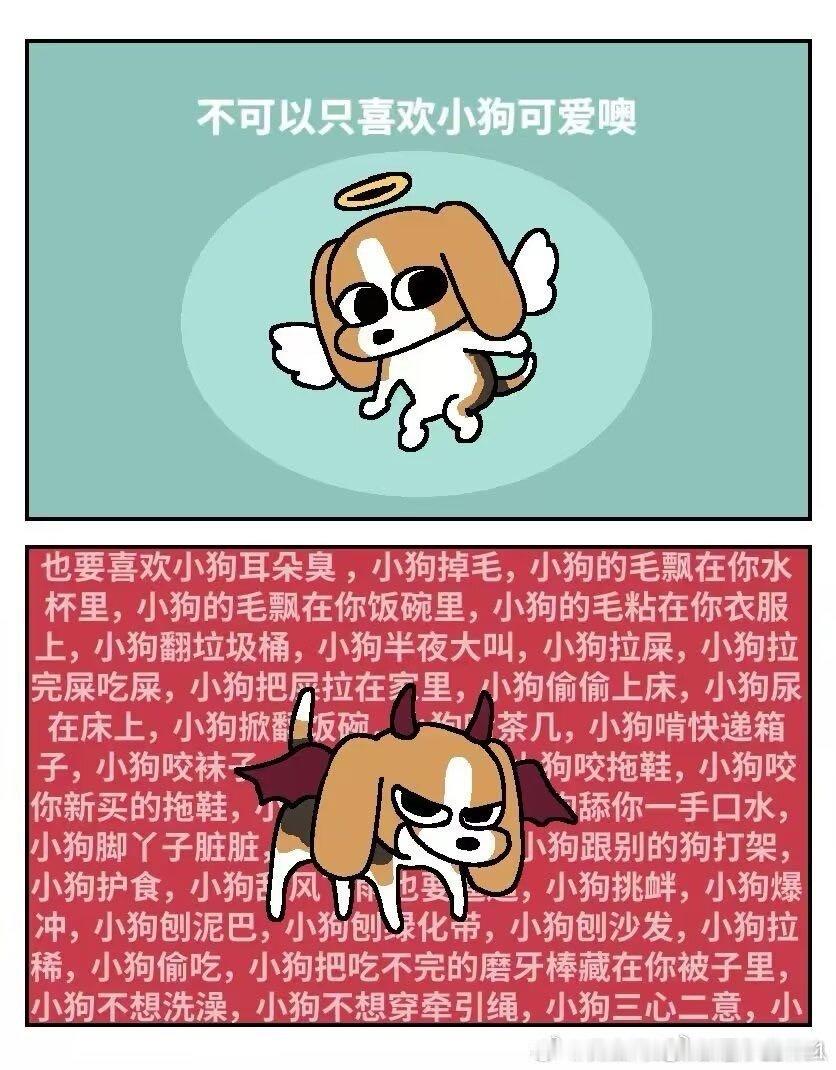 分享图片 