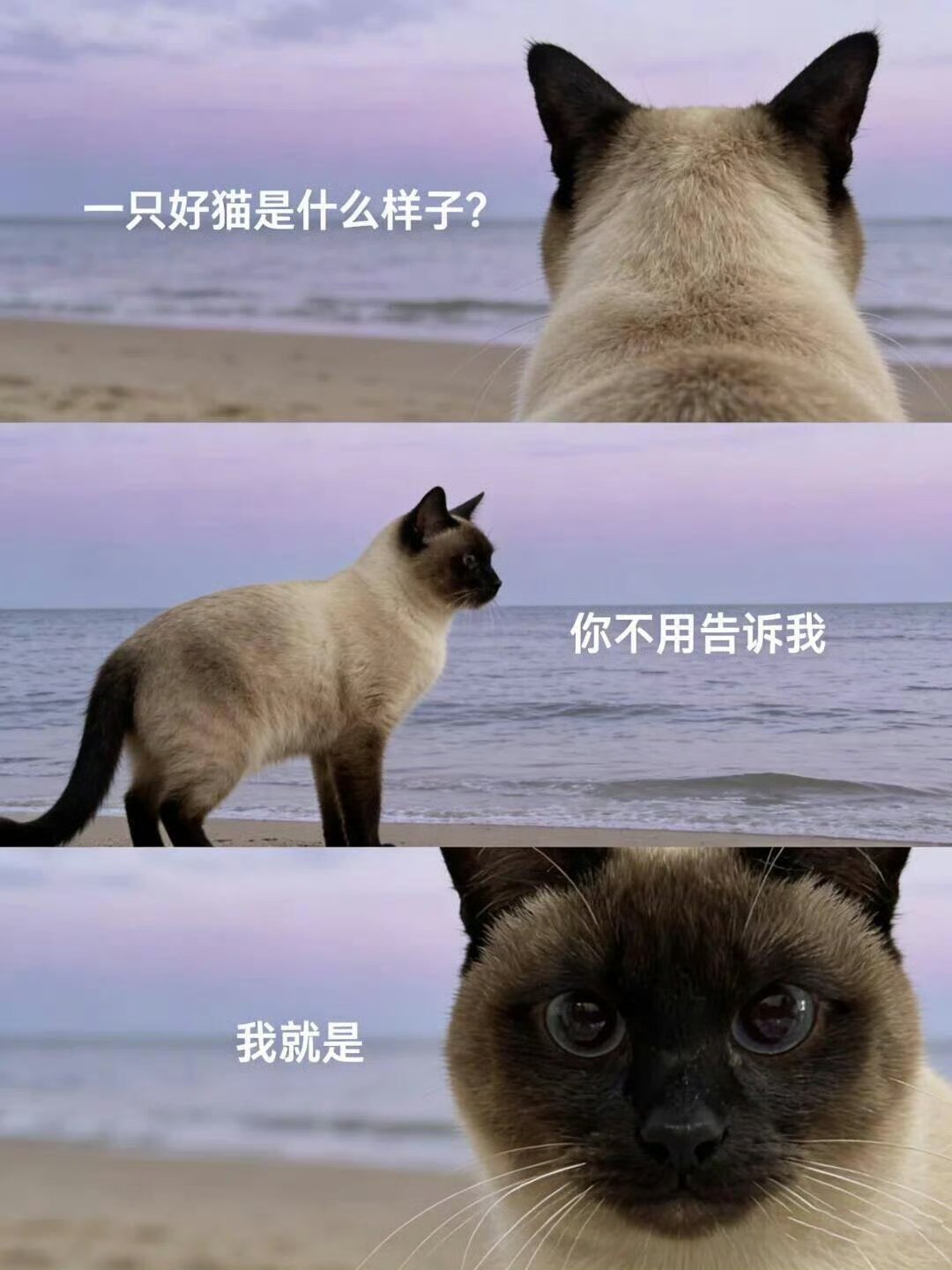 各位早，今天周六，睡的还好吗？ 