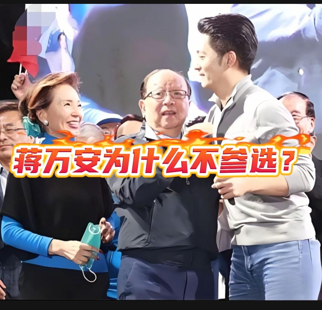 蒋万安作为岛内炙手可热的政坛人物，为什么不参选国民党主席呢？这其中蒋万安在下一盘