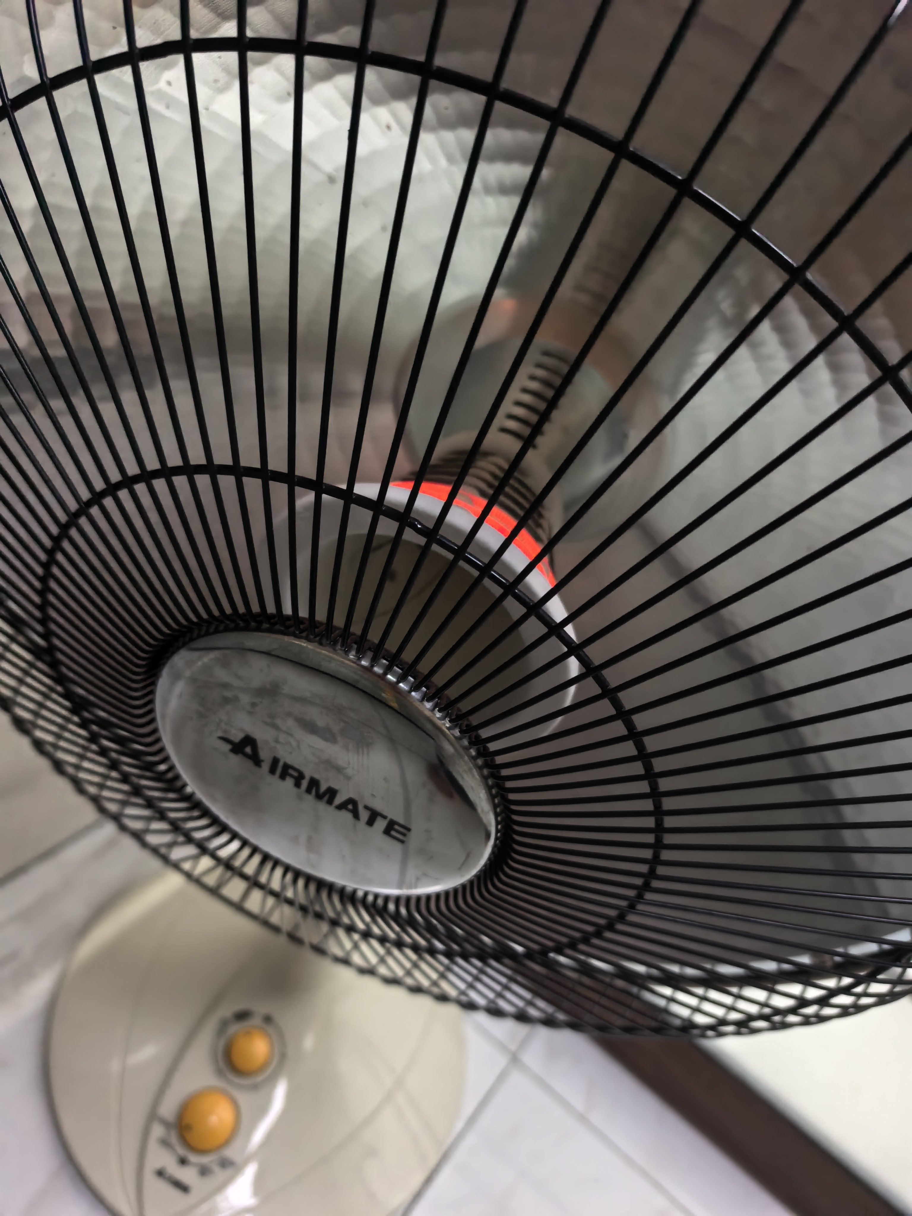 完蛋……头好疼……炸裂的疼……