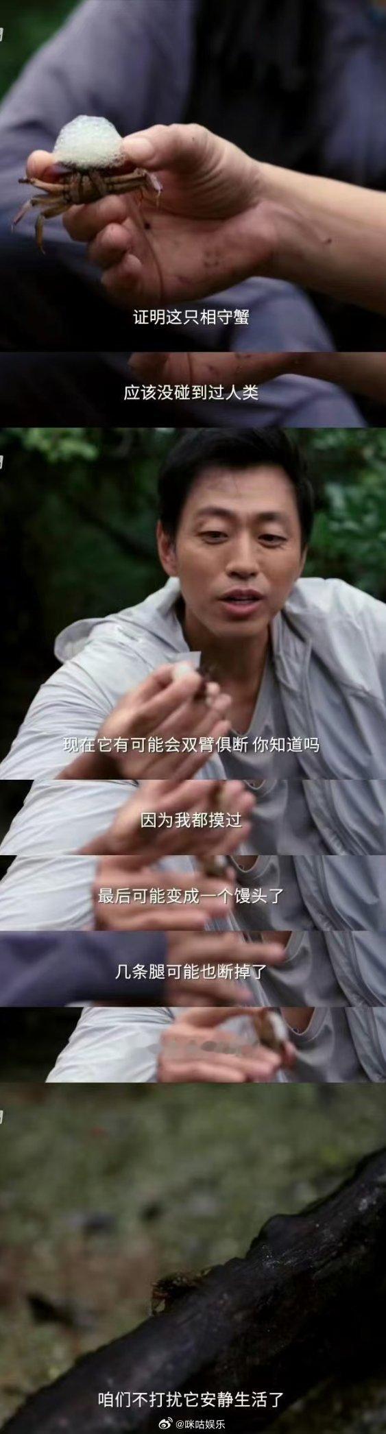 e人水哥遇到i螃蟹  水哥说螃蟹长在自己的审美点上  今日份快乐源泉是 大国之树