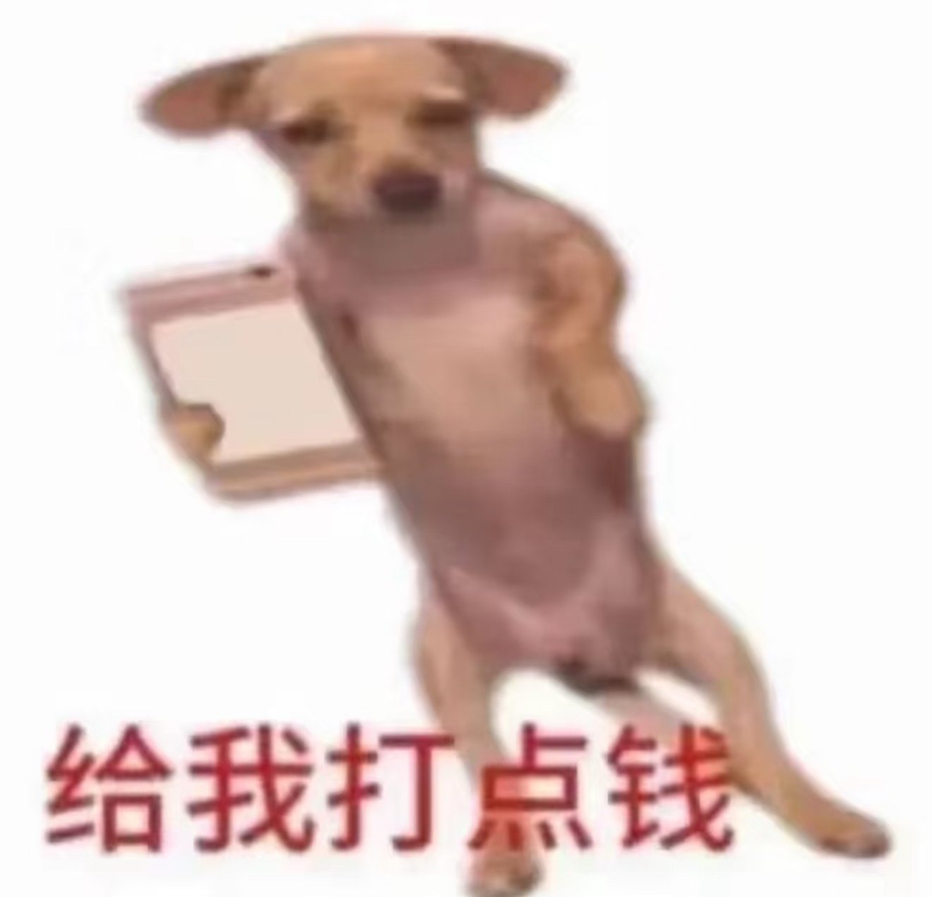 我以为你这么久不发朋友圈是在偷偷内卷，没想到你是真的一事无成 ​​​