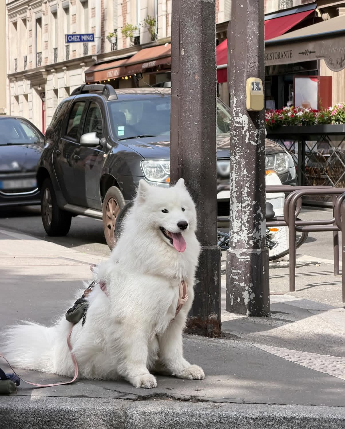 龚老师ins更新文案“Paris through a fashion lens.