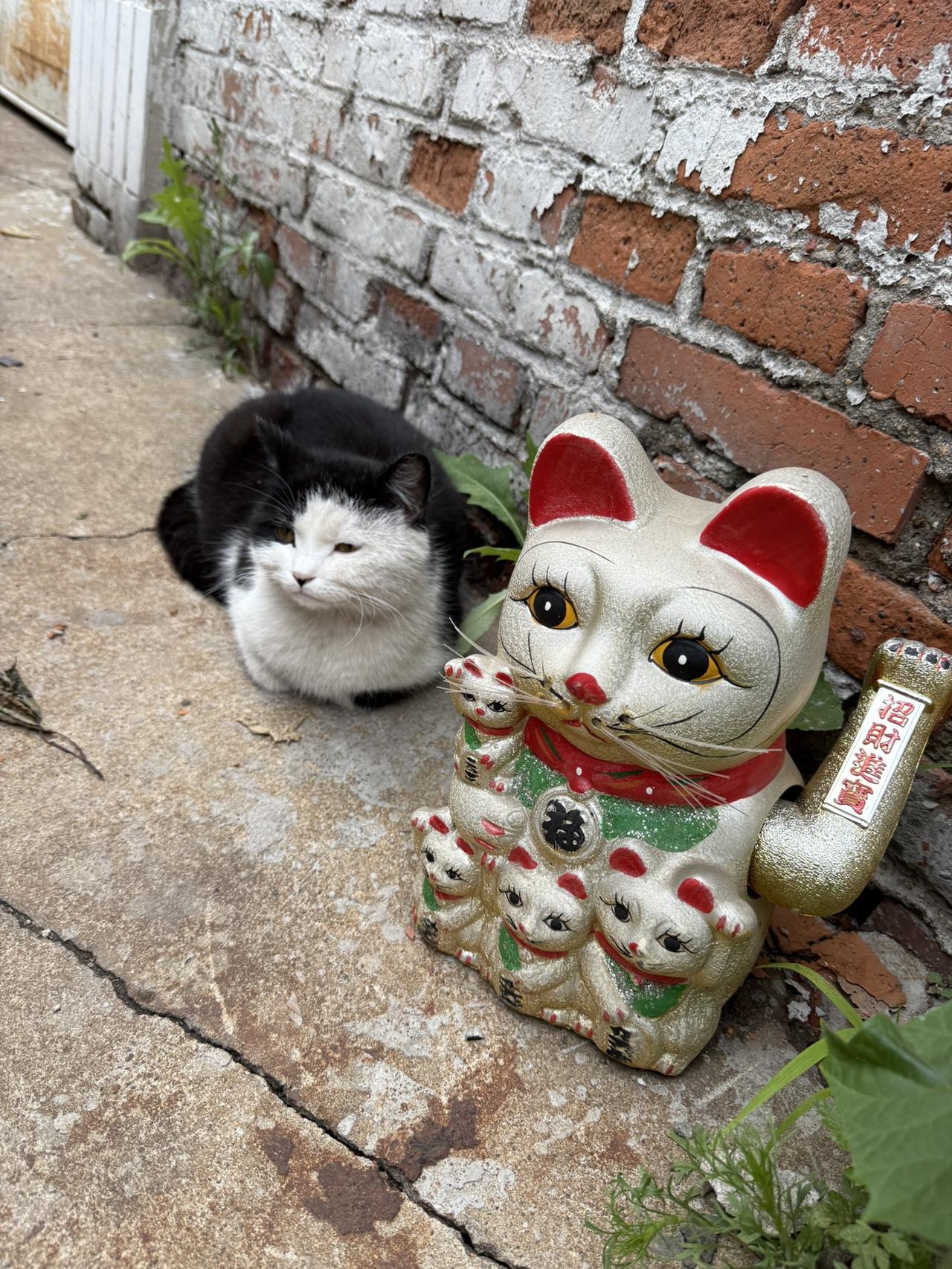 就是为了听听这段话