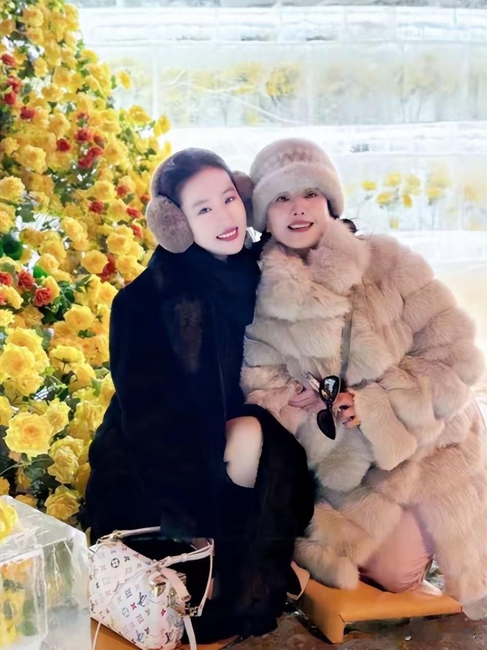 刘亦菲，深夜高调上热搜，竟是因为感情状况。

3月12日，狗仔刘大锤在直播中回答