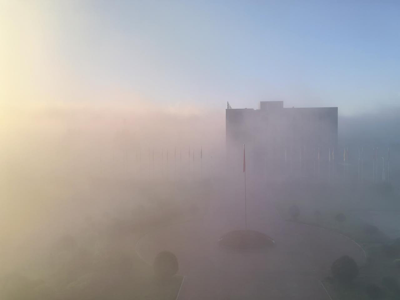 晨雾弥漫，发头条问候：
 留住快乐，让我们年青；留住平安，让我们健康；留住亲情，