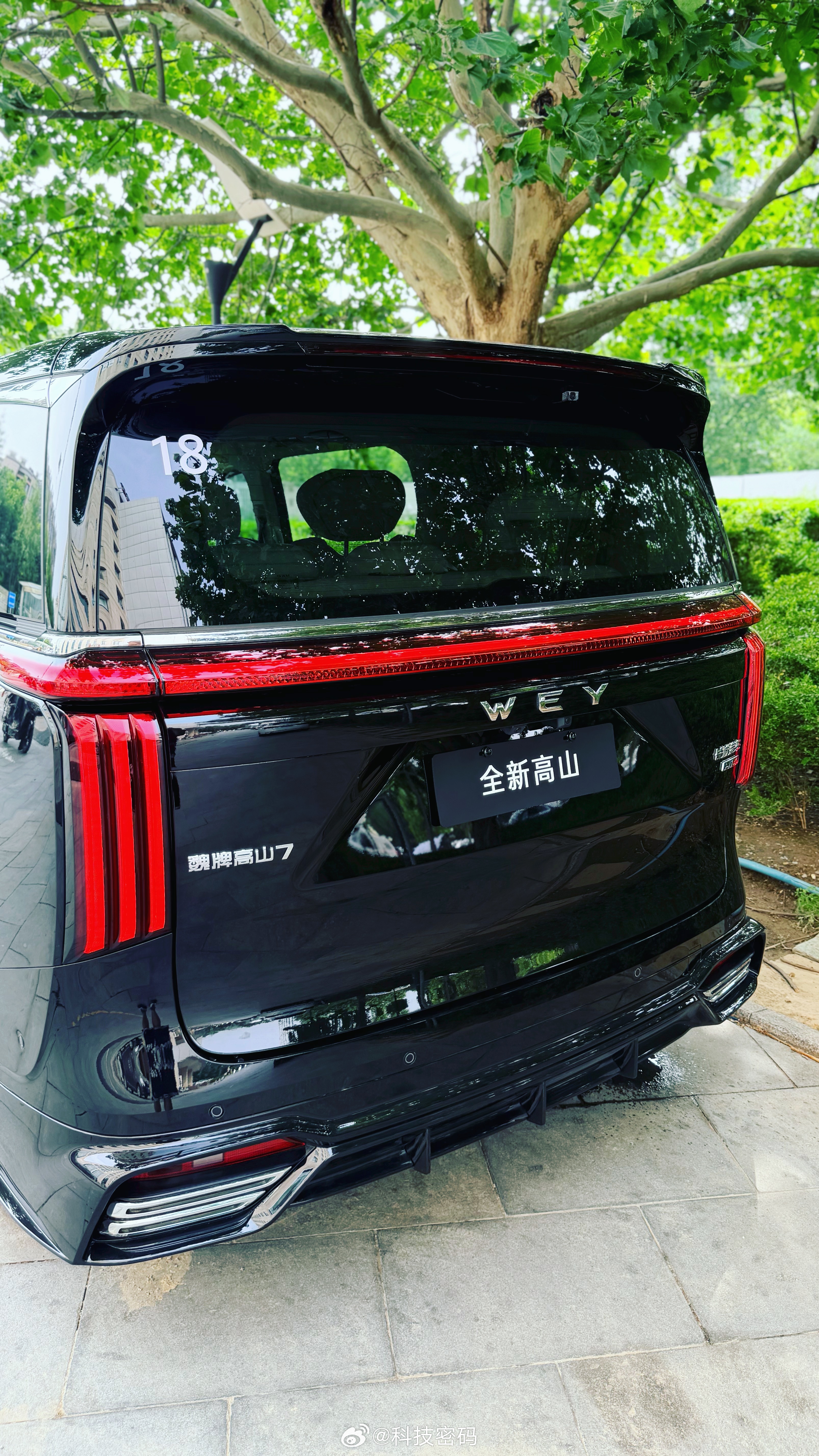 🚗 魏牌高山MPV也是一种时尚家庭出行新物种同学们，谁说MPV只能是“奶爸妥协