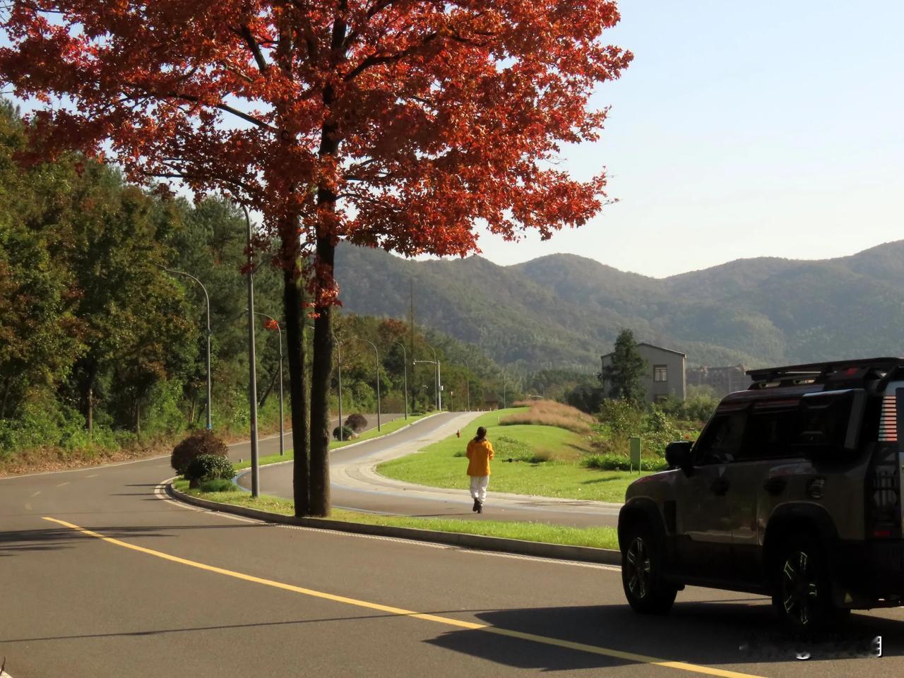 秋日漫步，红叶映山岗，自在人生路。🍁🚶‍♀️🚗
东钱湖