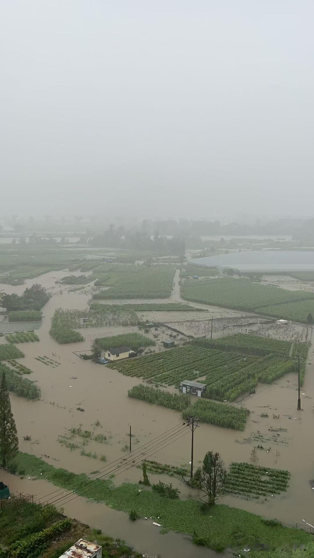 浙江那边又下雨了啊，这次也是台风吗？今年雨水有点频繁了，看样子下的不小啊。