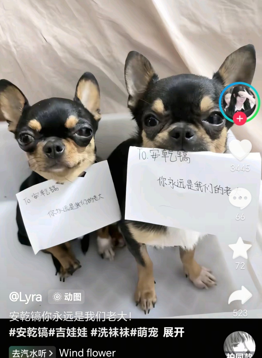 嘻嘻嘻嘻 