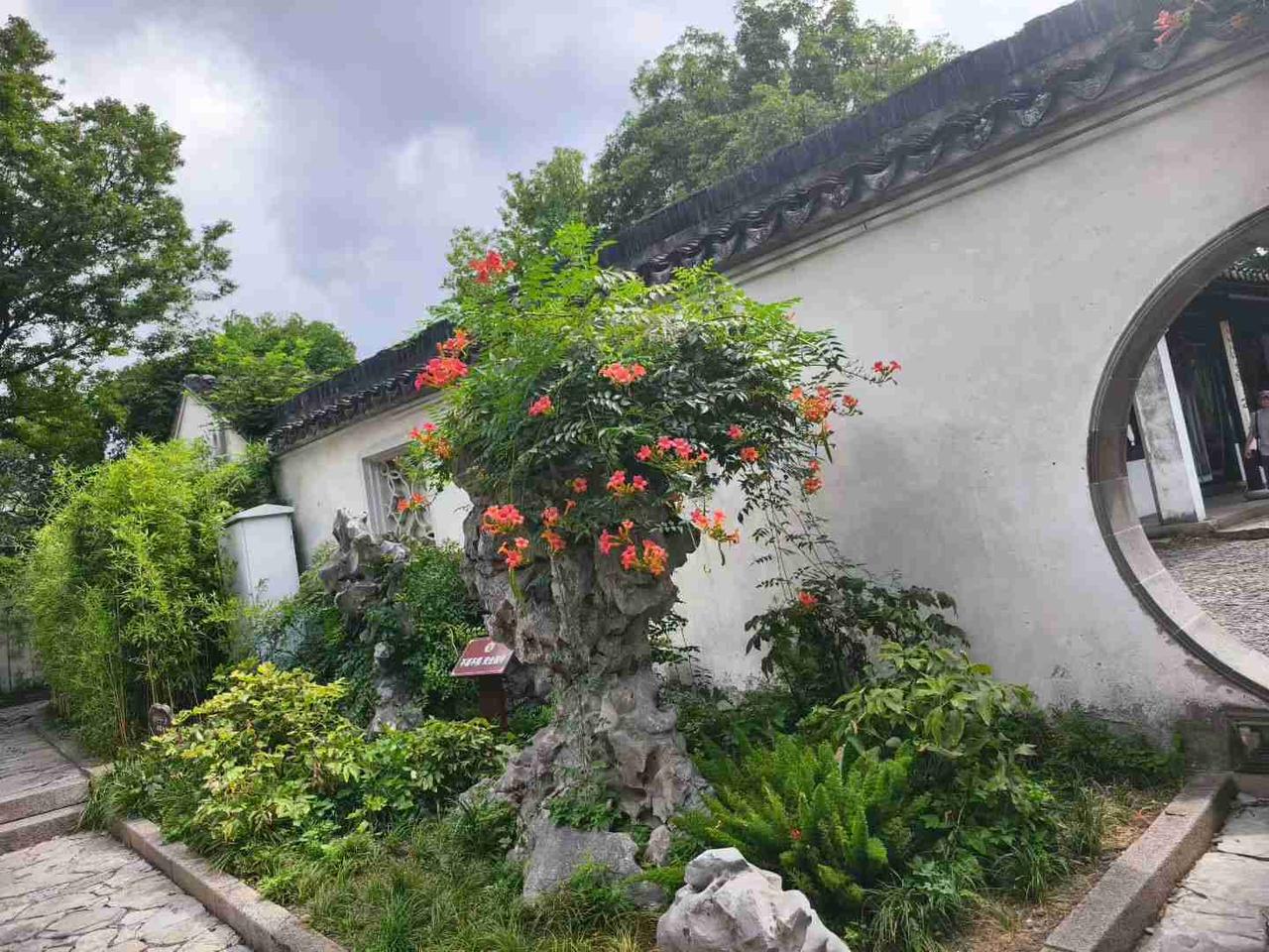 我的今日状态：💰期待暴富
我这里的天气：🌧下雨

受台风“白海豚”的影响，麻