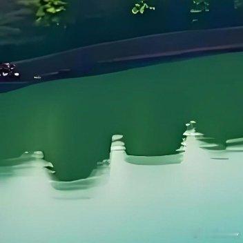 每日一善踮起脚会缩短爱的距离，这样会不稳定；弯下腰获取平和，这样会很累；平视周围