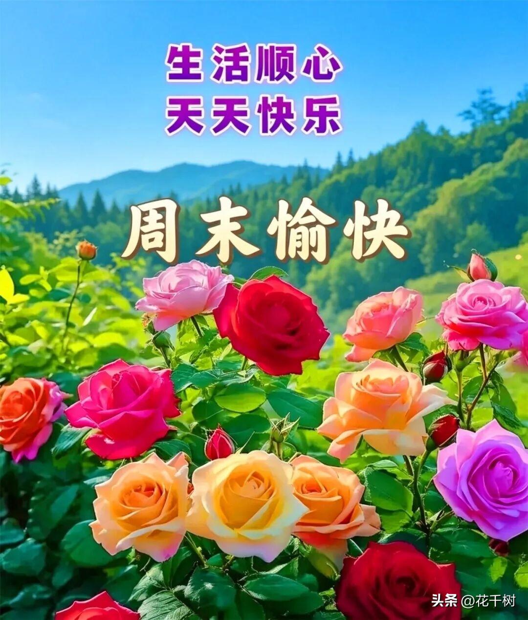 无德生愚孝，愚孝养恶老，恶老毁三代。
这句大实话，像一把利刃，直接剖开中式家庭最