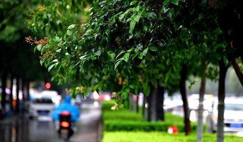 【洛阳明后天仍阴雨天气 国庆假期先晴后雨】受高空偏南暖湿气流及地面冷空气的共同影
