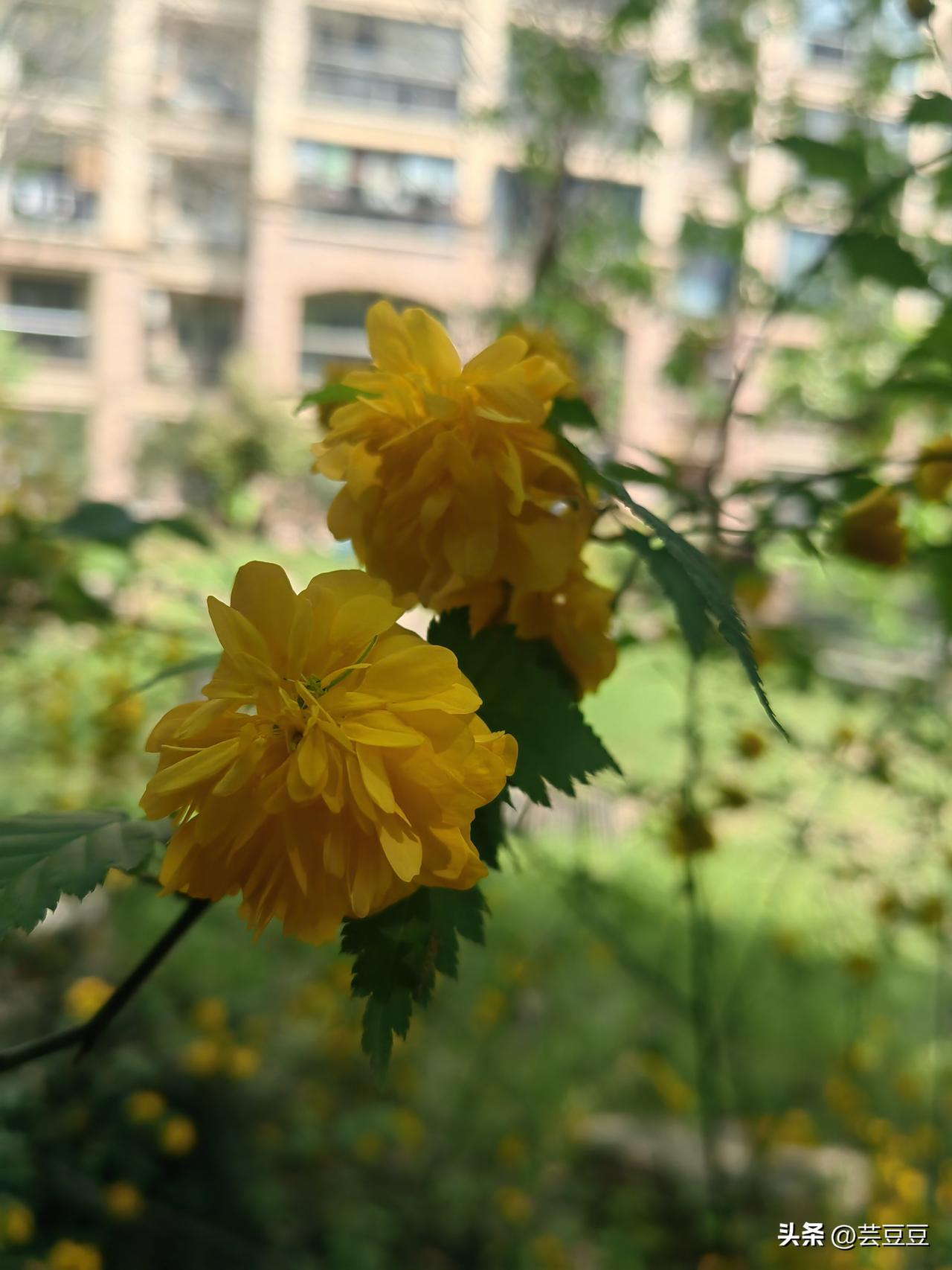 我发现真正拉开差距不是谁更聪明、谁更努力，而是谁能把时间最大利益化，用有限的时间