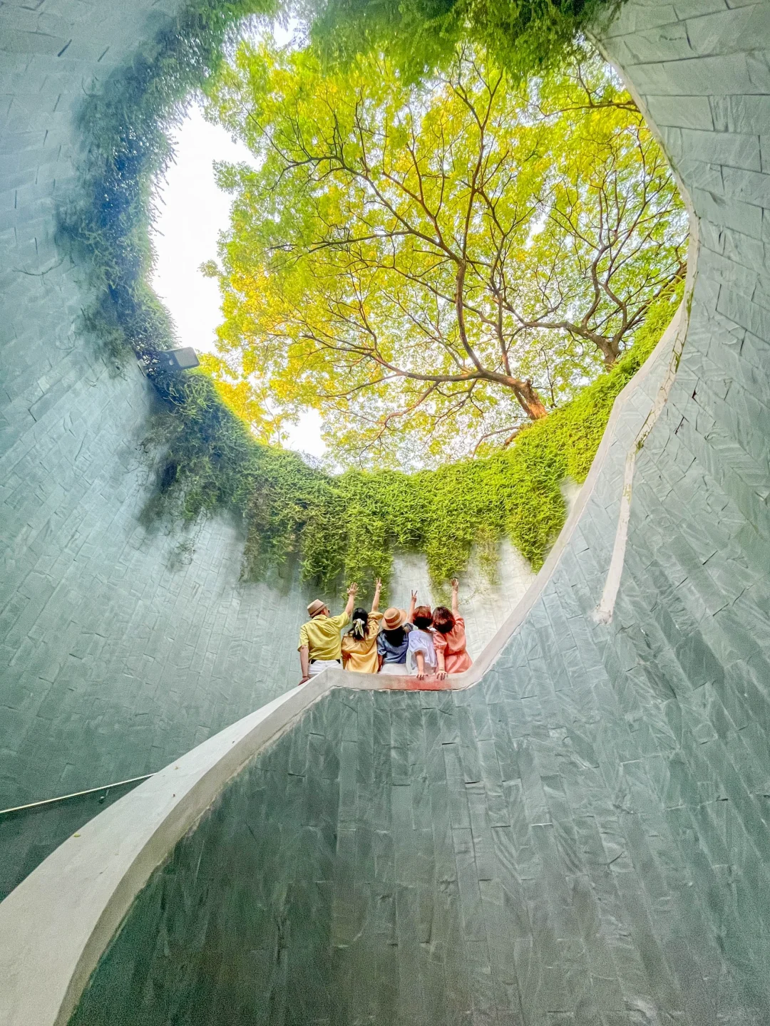 新加坡福康宁公园树洞，免费网红打卡点