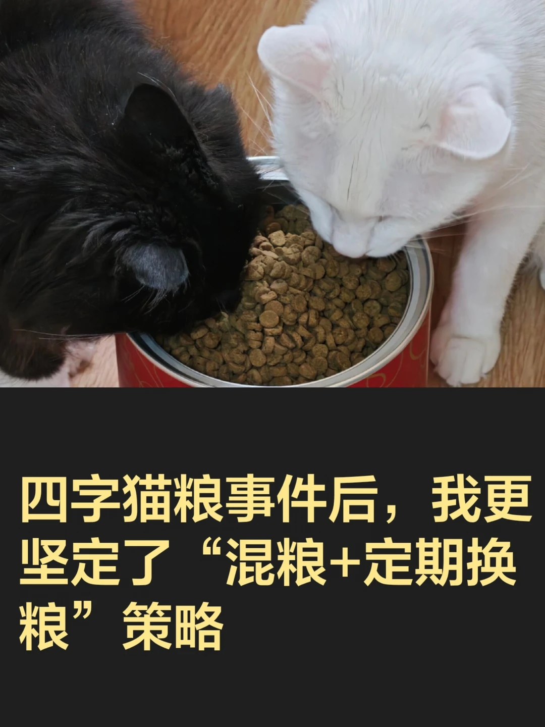 为什么我一直推荐「混粮+定期换粮」