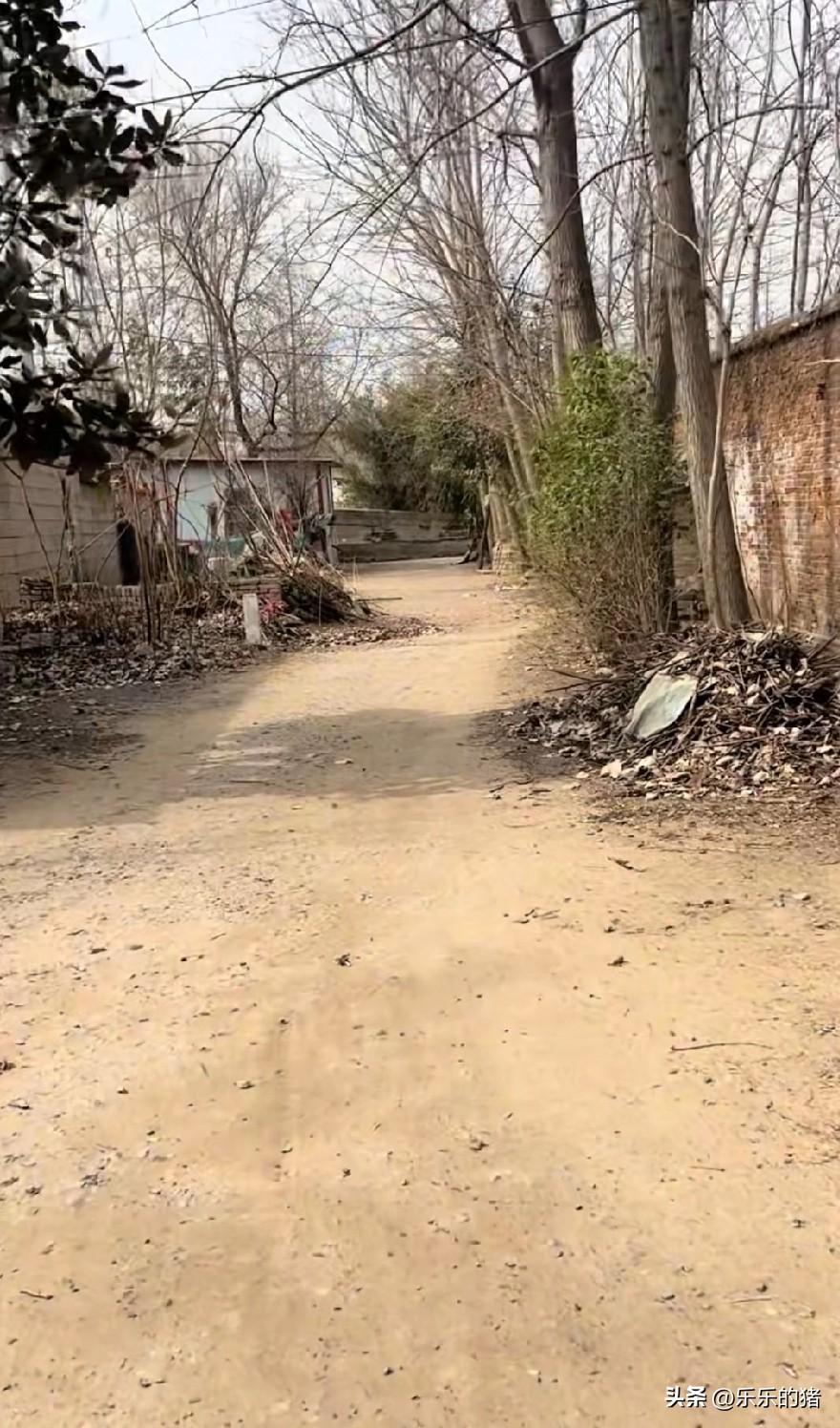 老公的堂侄女谈了一个河南的男朋友，在家人劝阻无果后，应男方邀请老公堂兄弟们开了十