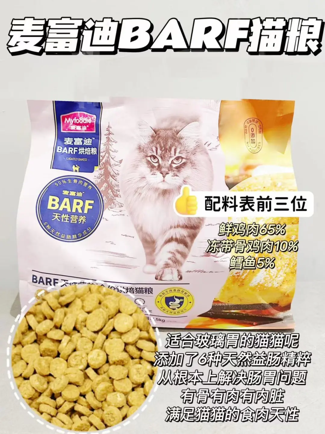 10年8只猫的养猫大户真实测评