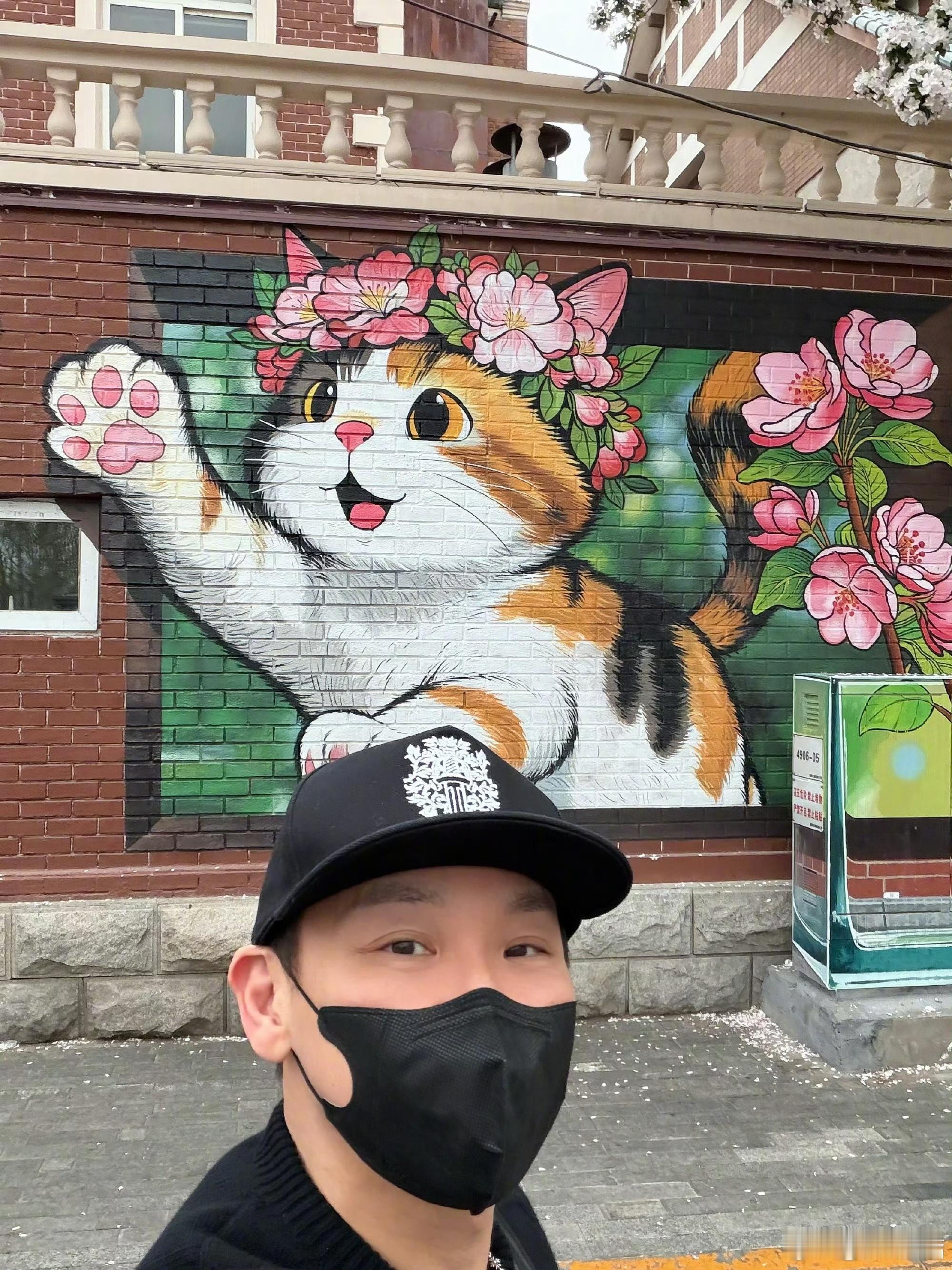 陶喆和天津海棠猫同框了Soul Power II PLUS天津演唱会正式进入倒计