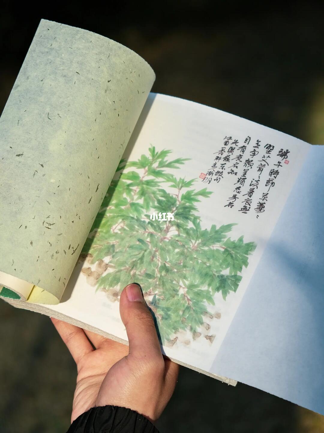 焦虑被这本书治好了，难怪溢价五倍还有人买