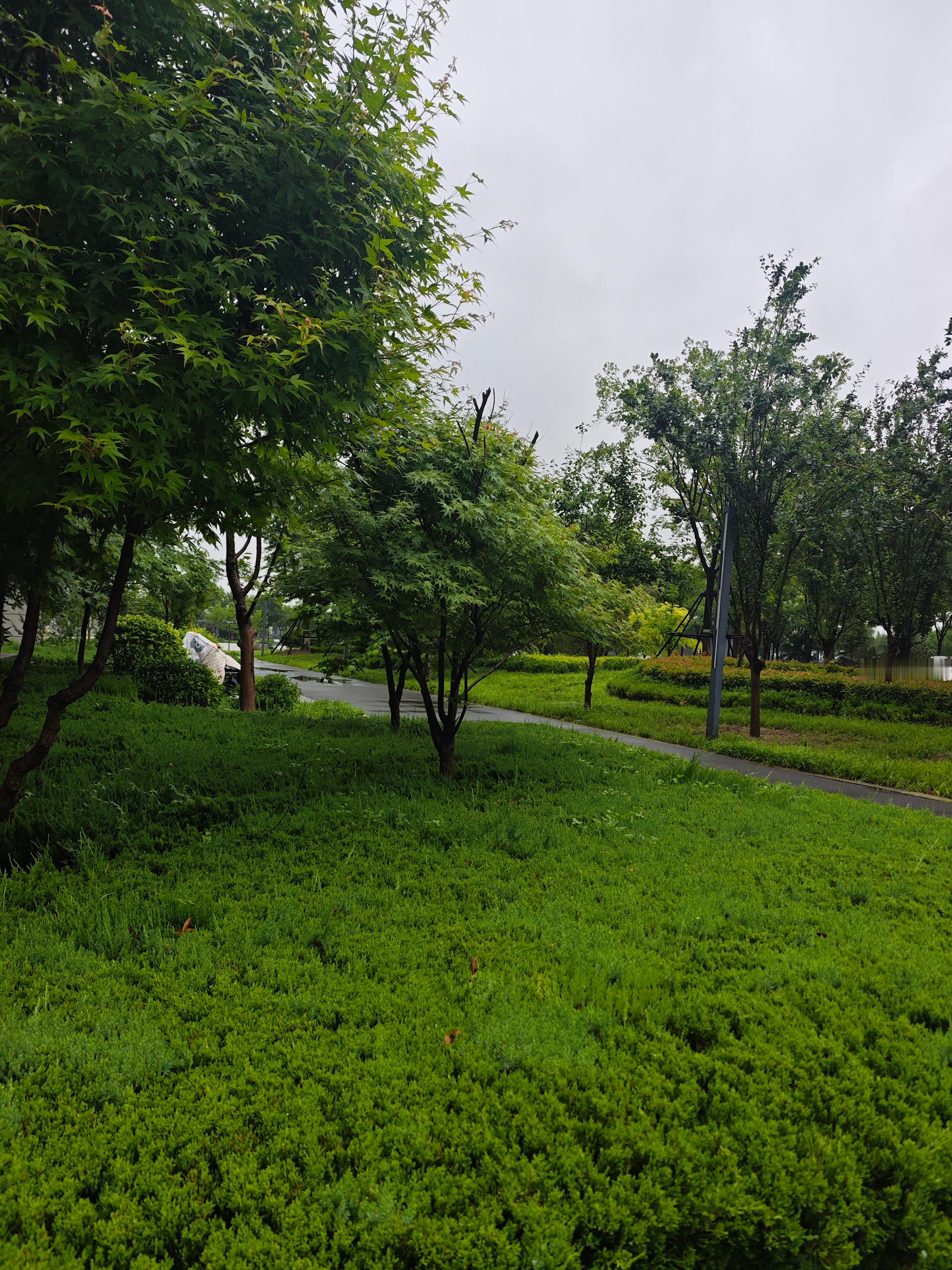 校园v计划带你涨知识日常 有个学生发了个状态，内容是“这个天气真适合逃课在宿舍睡