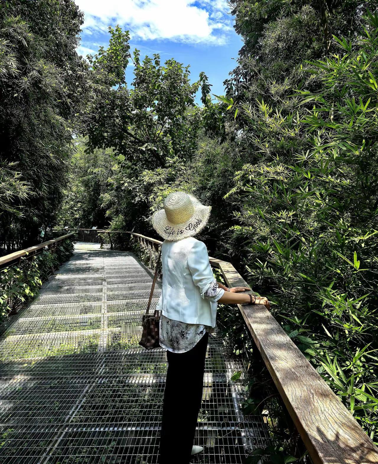 窦文涛那句“眼前有什么路，就走什么路”，听着简单，细琢磨却像杯热茶，熨帖了多少拧