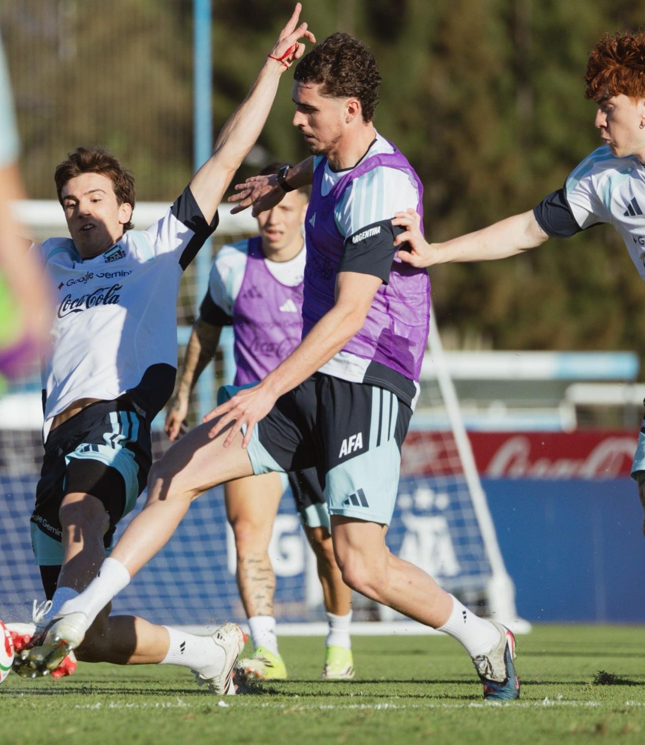 今日检查确认，前锋华金·帕尼切利右膝前交叉韧带断裂。[流泪]

加油，Joaco