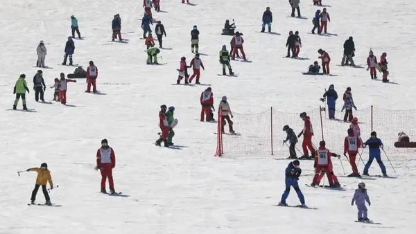 北京的寒冷与职场人的智慧与幽默。面对北风刺骨的严寒，打工人们在“请假去滑雪”与“