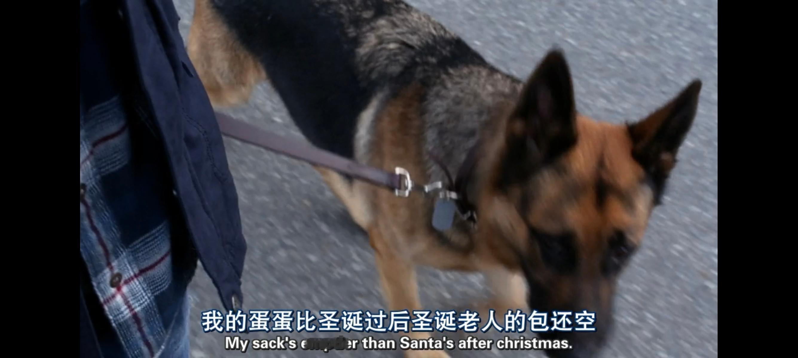 邪恶力量第九季第五集就是我的人生剧集，丁温车太萌了 ​​​
