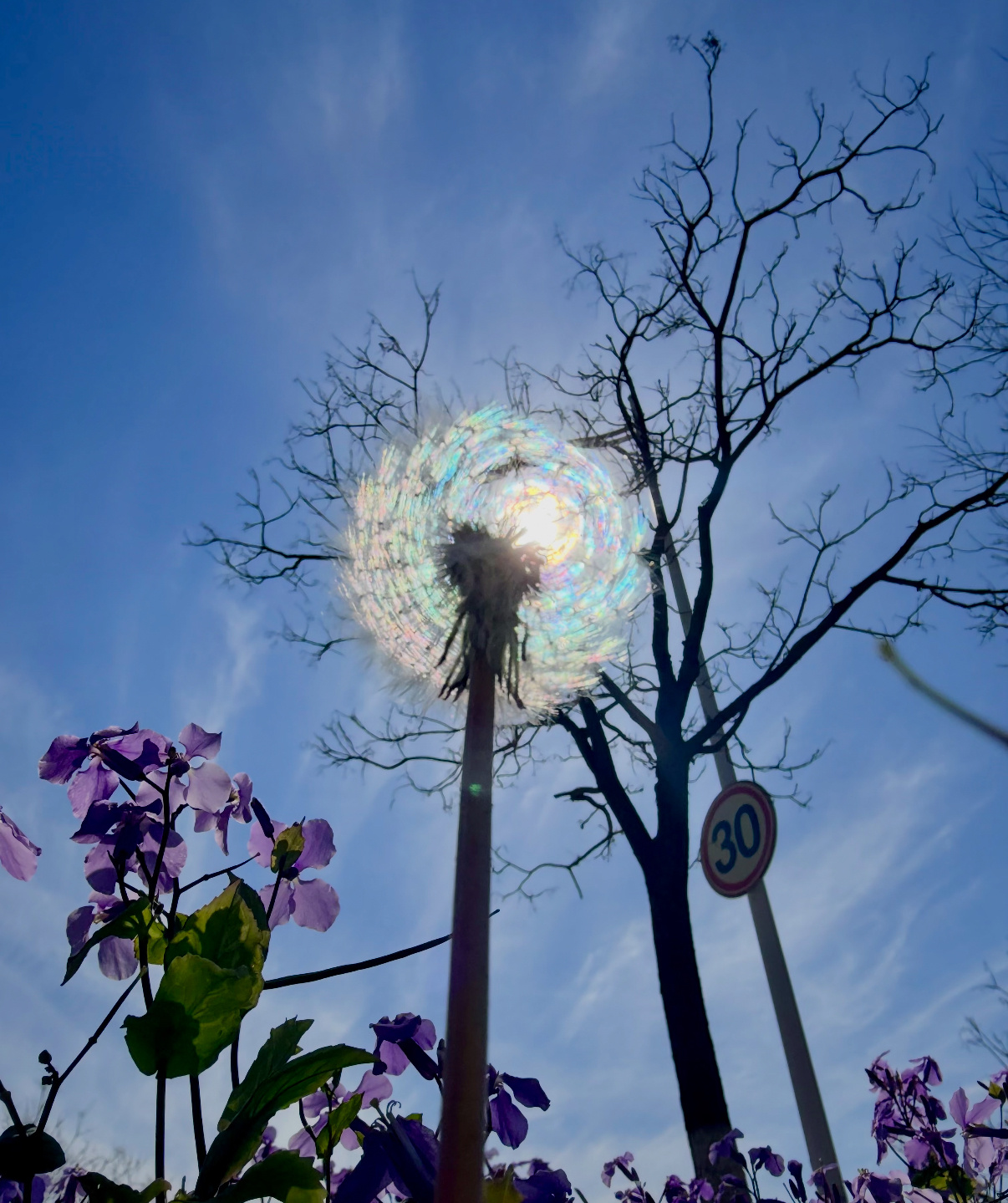 没点天赋真拍不出这照片普通场景经镜头巧妙构图瞬间大变样，光影把控、角度取舍全都恰