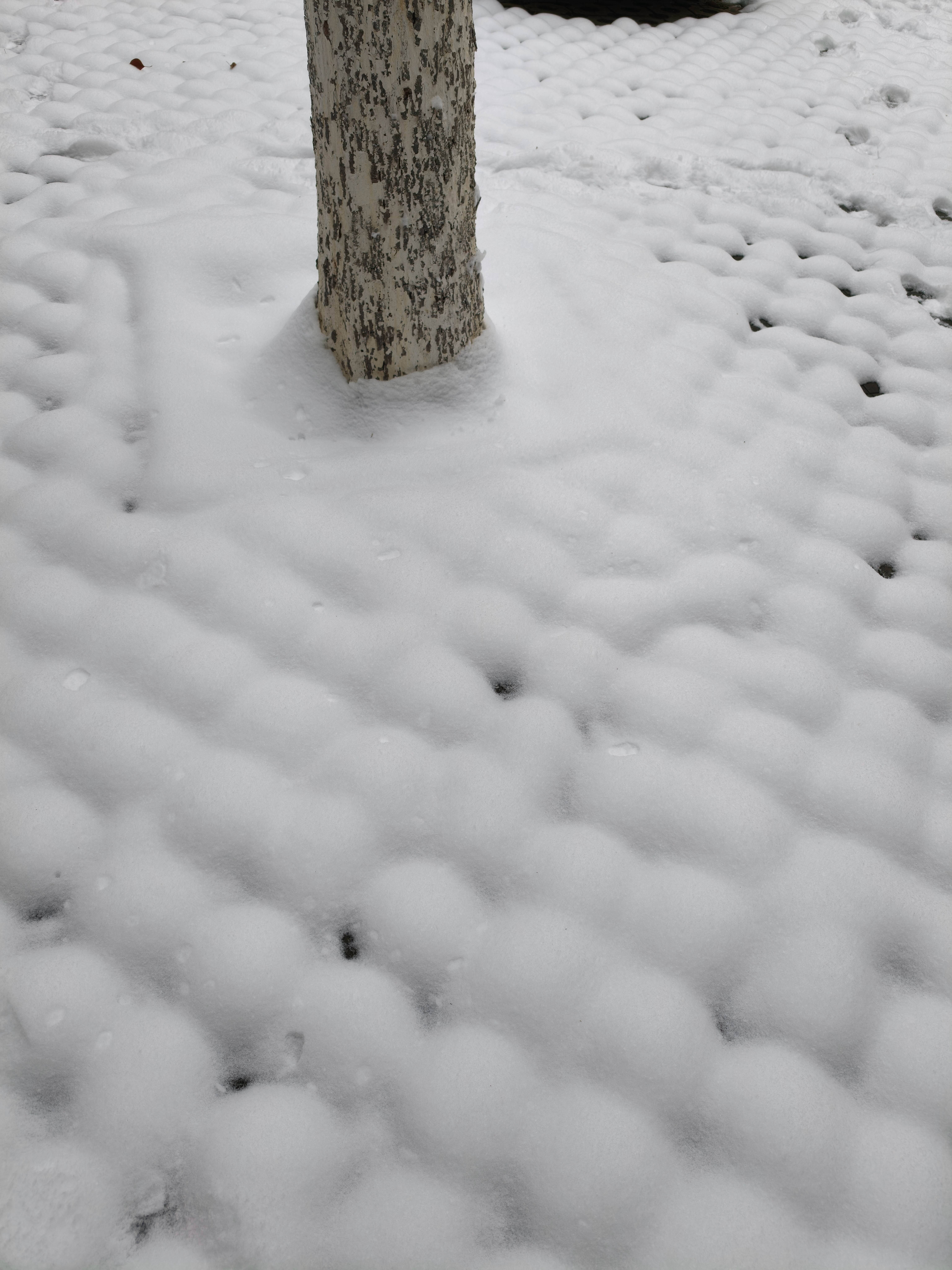 一下雪路边都是卖霉豆腐的夸年特别行动全网热点共创计划