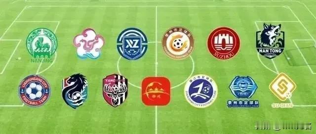 今年夏天的快乐是江苏省给的
外界传言江苏是一盘散沙  
这次足球联赛算是彻底做实