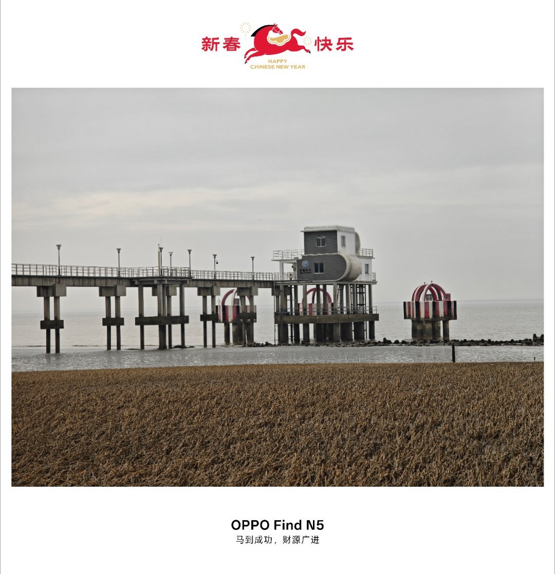 到崇明打个卡同志们春节都到哪儿潇洒了？ 上海·崇明岛