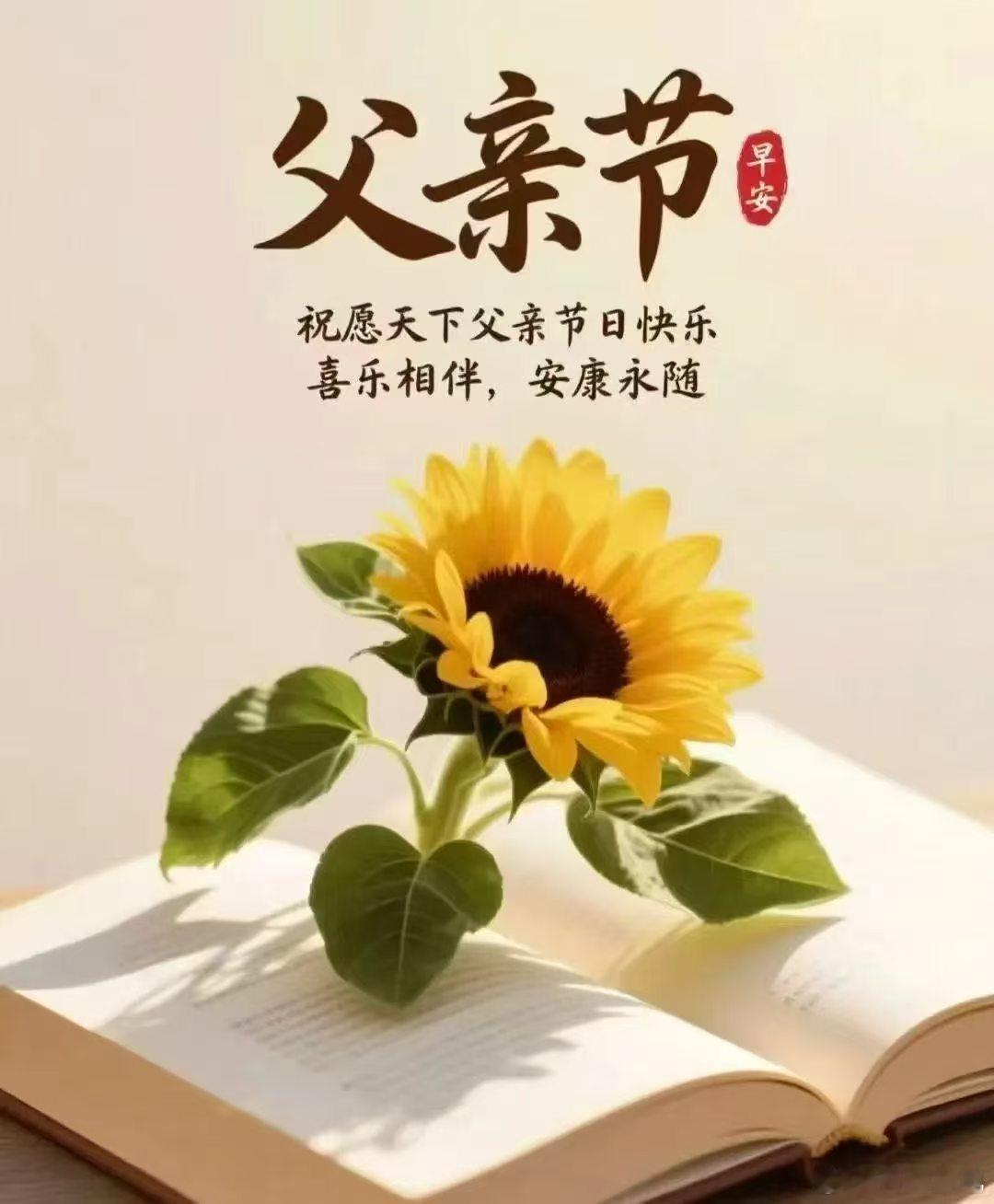 父亲节  山无言，却巍峨；父不语，却情深。祝所有父亲安康顺遂。 
