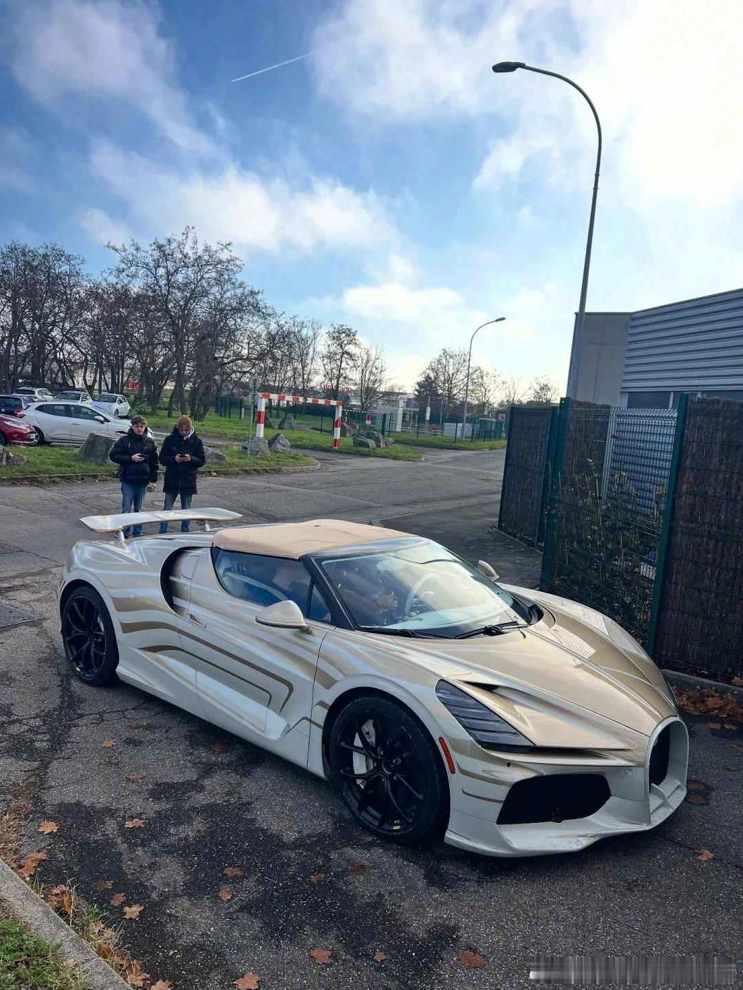 Bugatti W16 Mistral 白金，这个配色有人看成蓝黑吗？