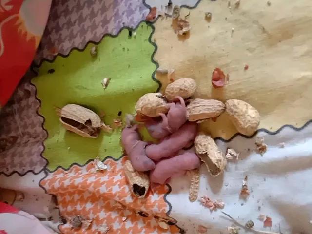 有什么事让你毛骨悚然，瞬间炸毛，小时候我和姐姐一个房间睡觉，床很大，但房间很小，