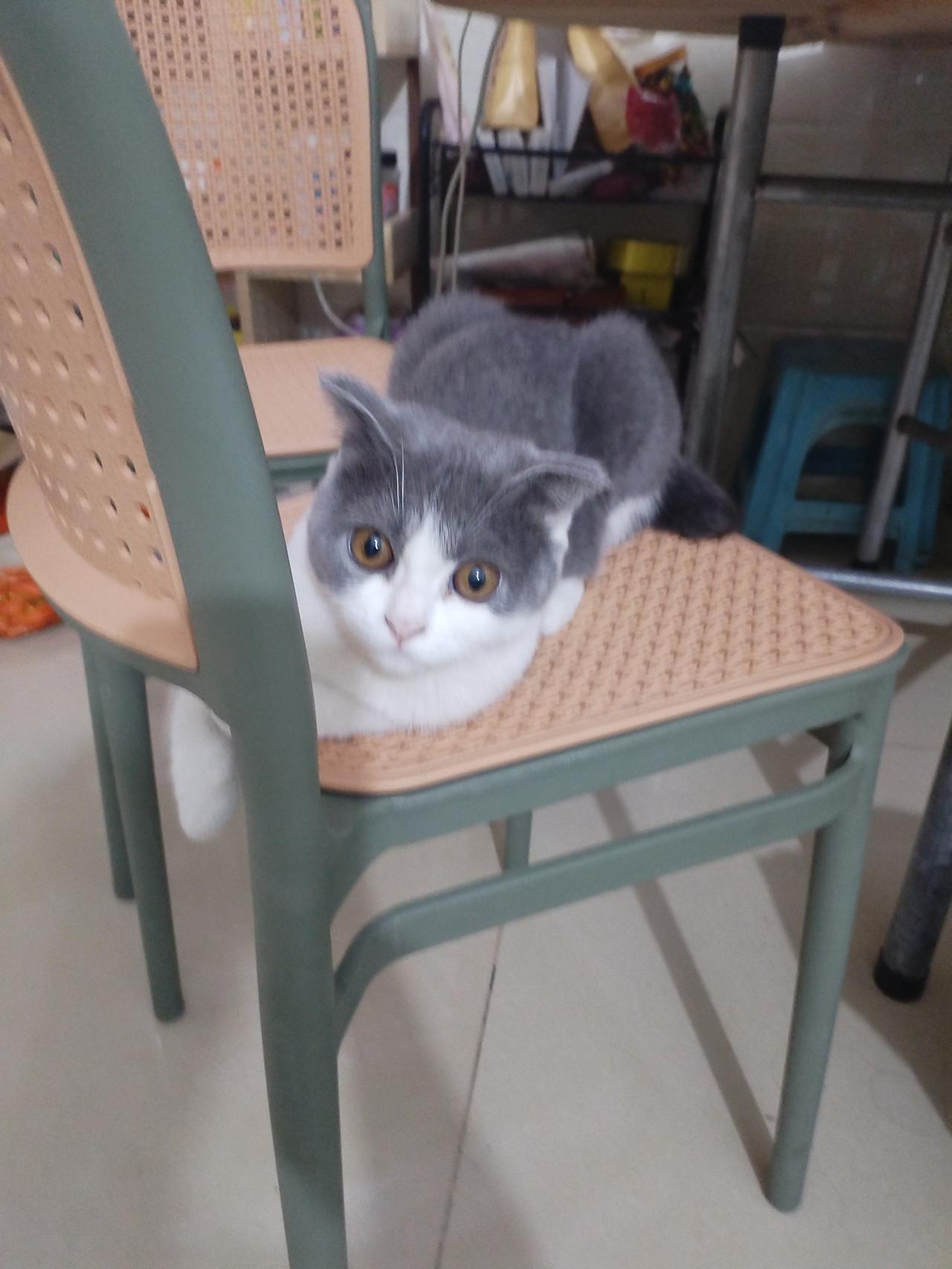 我今天把儿子打了，当时很生气，打完就后悔了。而且十分的愧疚！
        事