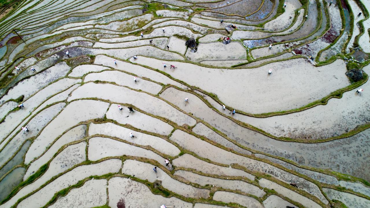 福建尤溪梯田冬耕开犁寄语
文/许碧霞（江西）

昆仑起脉走峰峦，游弋时空播玉丹。